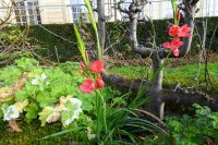 Tag 3, 30.12.2023 blühende Parkanlagen