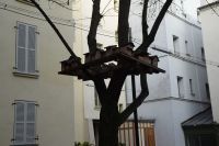 Tag 3, 30.12.2023 Spaziergang in der Village St. Louis