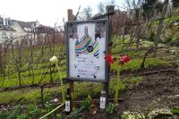 Tag 4, 31.12.2023 Entdeckungsspaziergang über den Montmartre, Weinberg