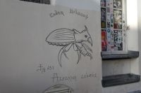 Tag 4, 31.12.2023 Entdeckungsspaziergang über den Montmartre, Streetart