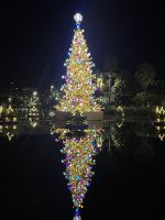 Weihnachtsbaum im Park von Nizza
