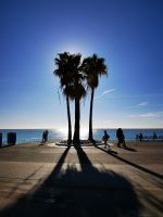 Tag 1 23.01.2024  Entdeckerspaziergang in Nizza