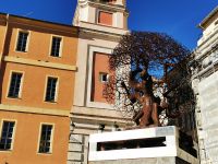 Tag 1 23.01.2024   Entdeckerspaziergang in Nizza, Olivenbaum von L. Bosio