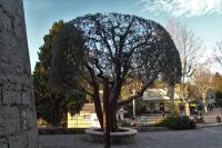 Tag 2 24.01.2024 Abendstimmung 