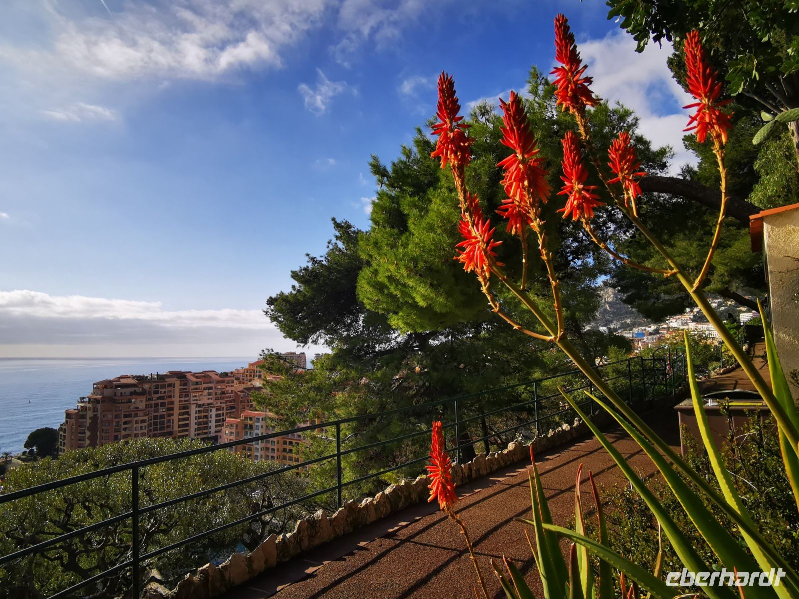 Tag 3 25.01.2024 Spaziergang im Park
