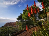 Tag 3 25.01.2024 Spaziergang im Park