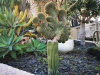 Tag 3 25.01.2024 Monte Carlo