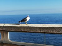 Tag 3 25.01.2024 Monte Carlo