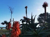 Tag 3 25.01.2024 Monte Carlo