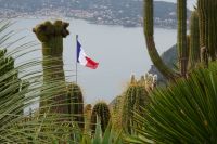 Tag 4 26.01.2024 im Garten von Èze