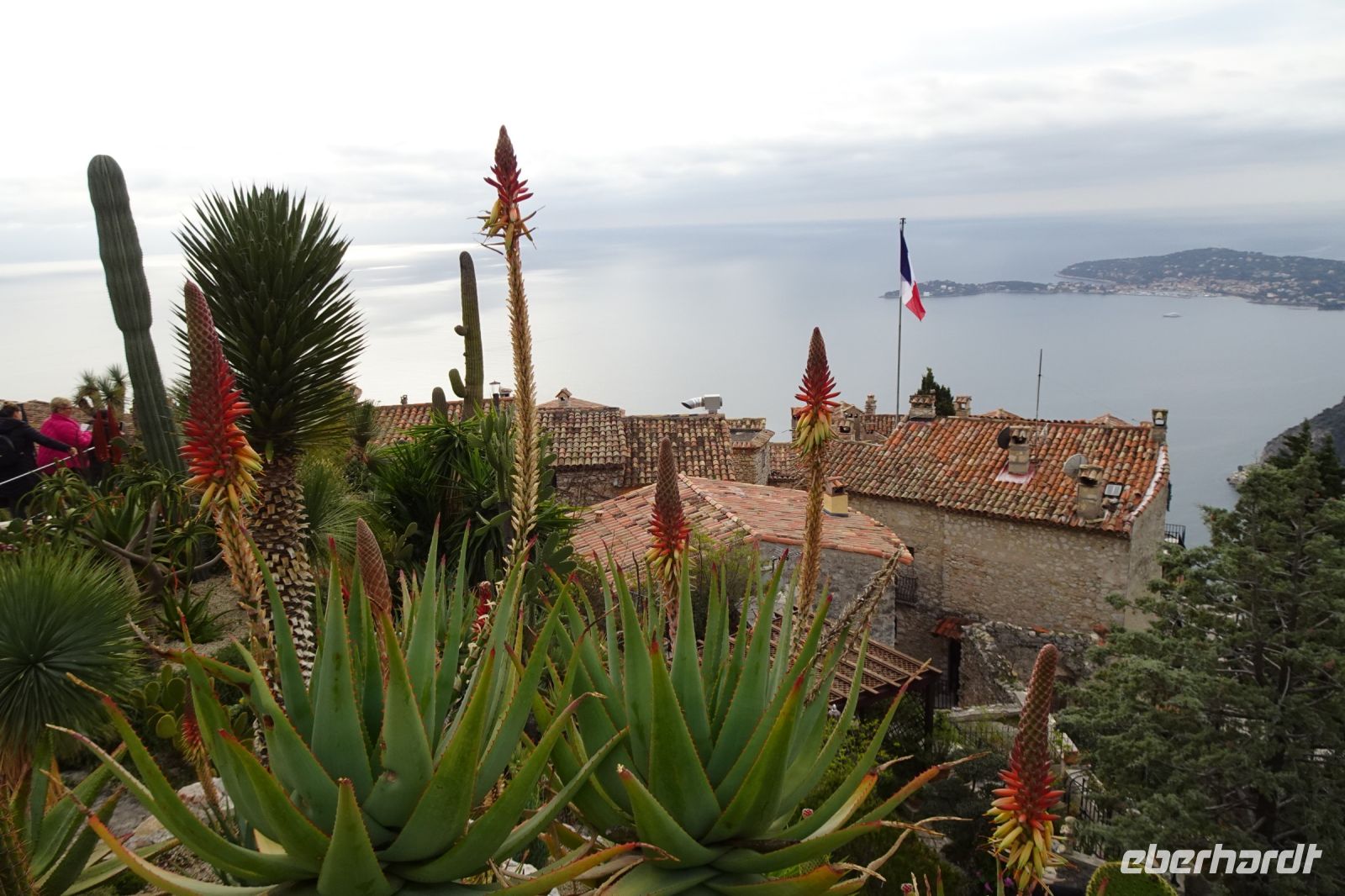 Tag 4 26.01.2024 im Garten von Èze