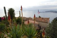 Tag 4 26.01.2024 im Garten von Èze