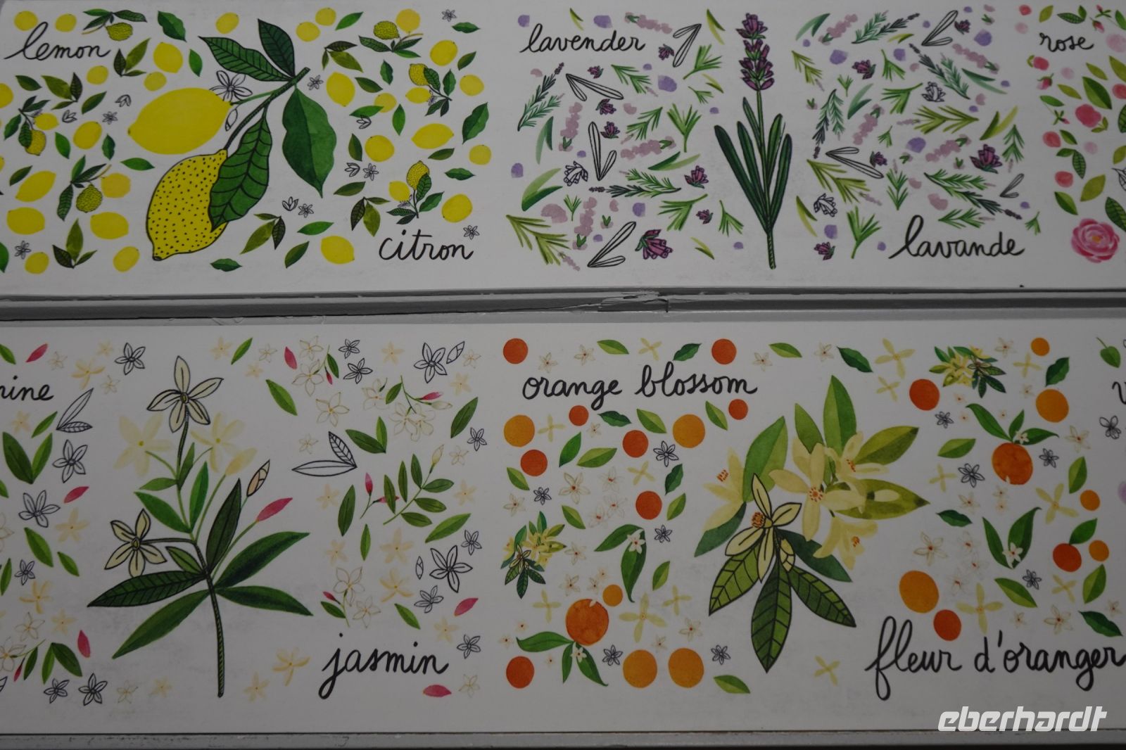 Tag 4 26.01.2024 Bei Fragonard