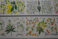 Tag 4 26.01.2024 Bei Fragonard