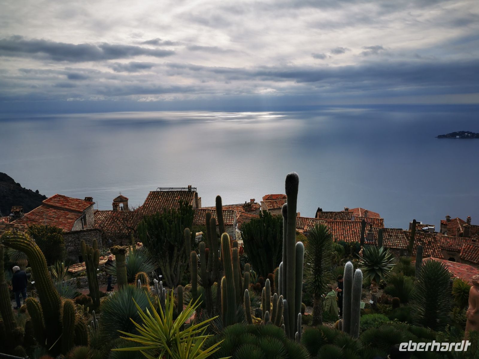 Tag 4 26.01.2024 im Garten von Èze