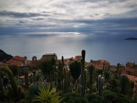 Tag 4 26.01.2024 im Garten von Èze