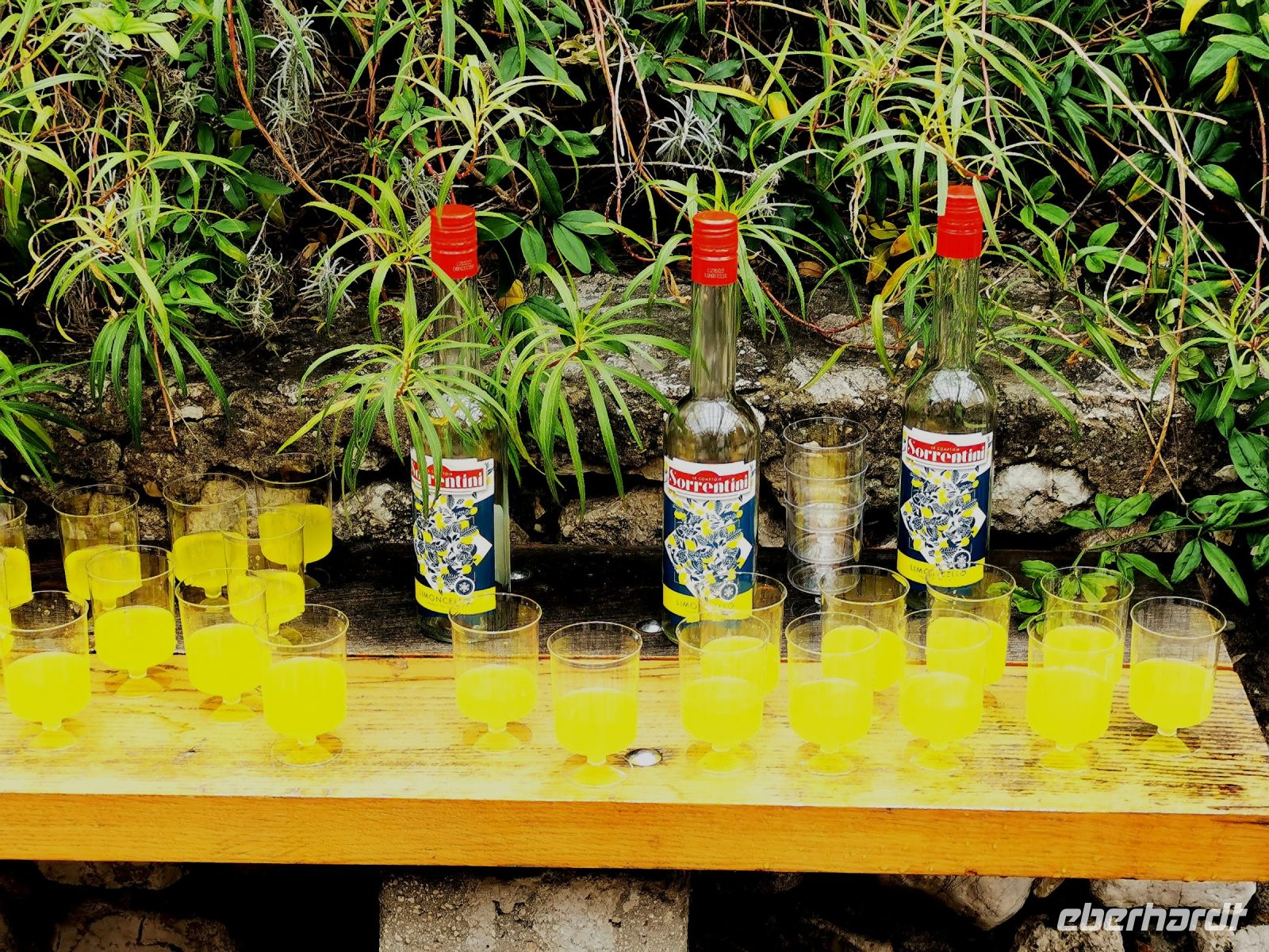 Tag 4 26.01.2024 Sonne im Glas