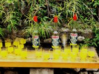 Tag 4 26.01.2024 Sonne im Glas