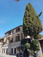 La Colombe d´Or