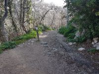 Anfang des Nietzsche-Wegs