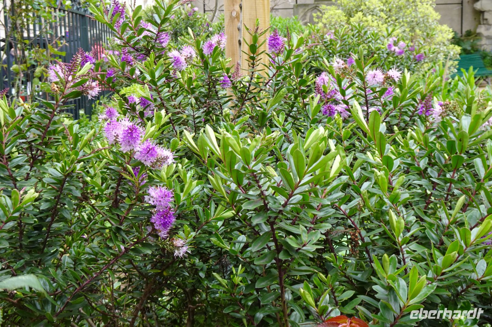 Tag 1, 28.03.2024 Entdeckerspaziergang