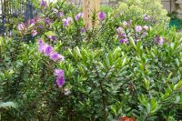 Tag 1, 28.03.2024 Entdeckerspaziergang