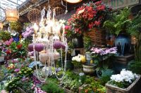 Tag 1, 28.03.2024 Entdeckerspaziergang, Blumenmarkt