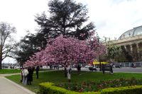 Tag 2, 29.03.2024 Stadtrundfahrt 