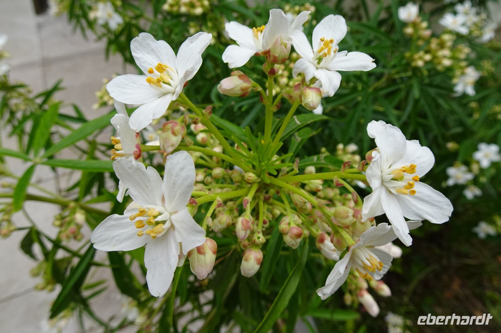 Tag 2, 29.03.2024 Stadtrundfahrt 