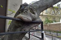 Tag 2, 29.03.2024 Stadtrundfahrt 