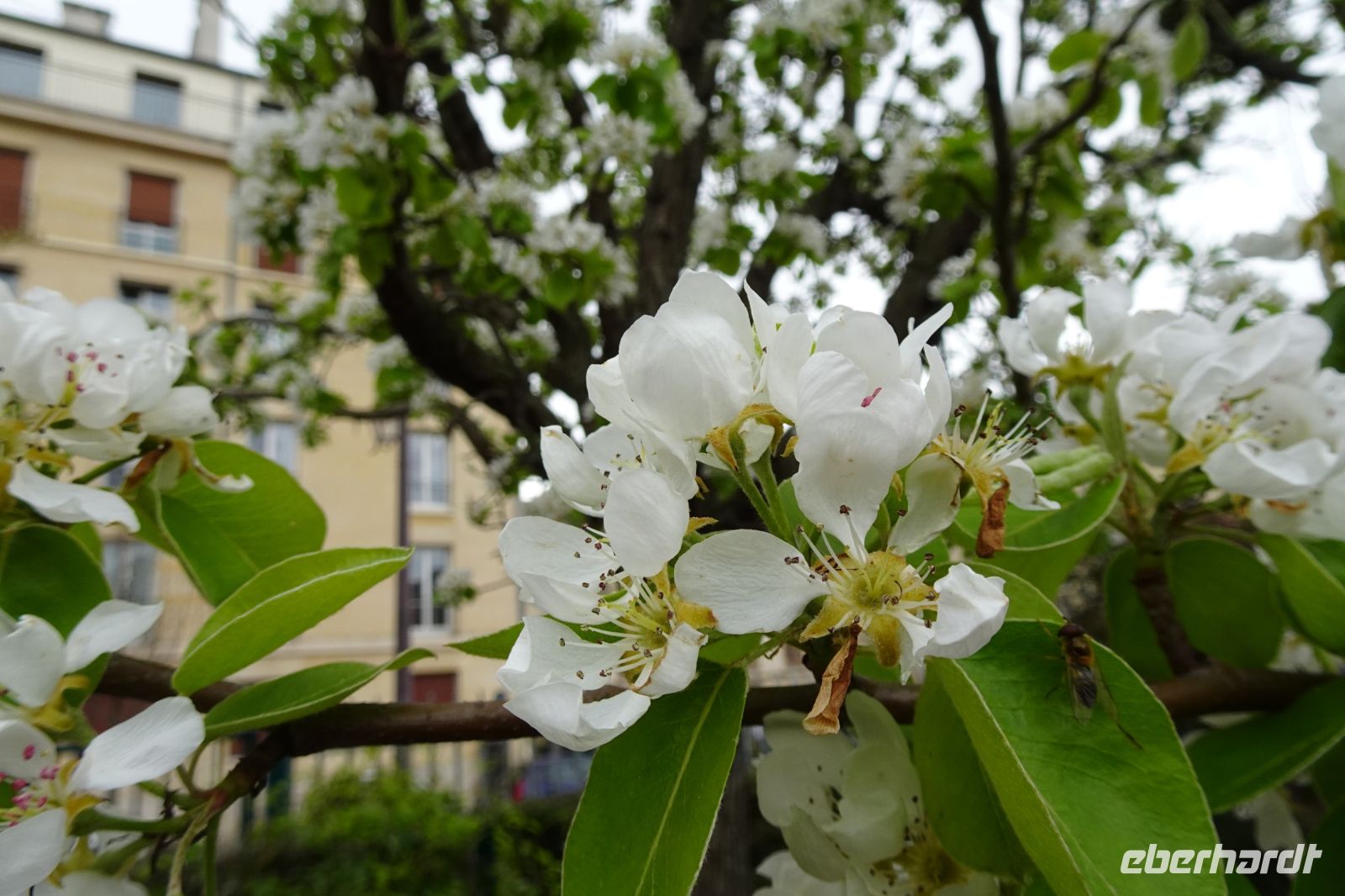 Tag 2, 29.03.2024 Stadtrundfahrt 