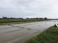 Salzgarten auf der Ile de Noirmoutier.jpg