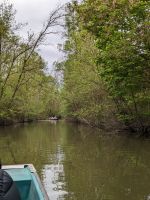 Bootsfahrt im Sumpfland.jpg