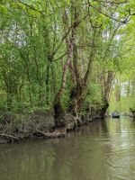 Bootsfahrt im Sumpfland.jpg
