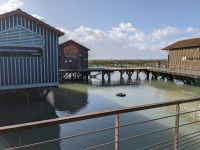 Austernzucht in Marennes.jpg