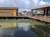 Austernzucht in Marennes.jpg