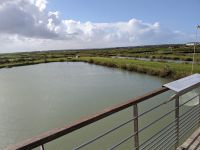 Austernbecken in Marennes.jpg