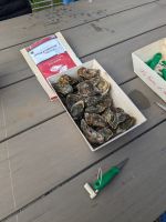 gleich geht es zur Verkostung - Austernmesser liegen bereit.jpg