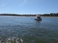 Bootsfahrt auf dem riesigen Strandsee Bassin de Archachon.jpg