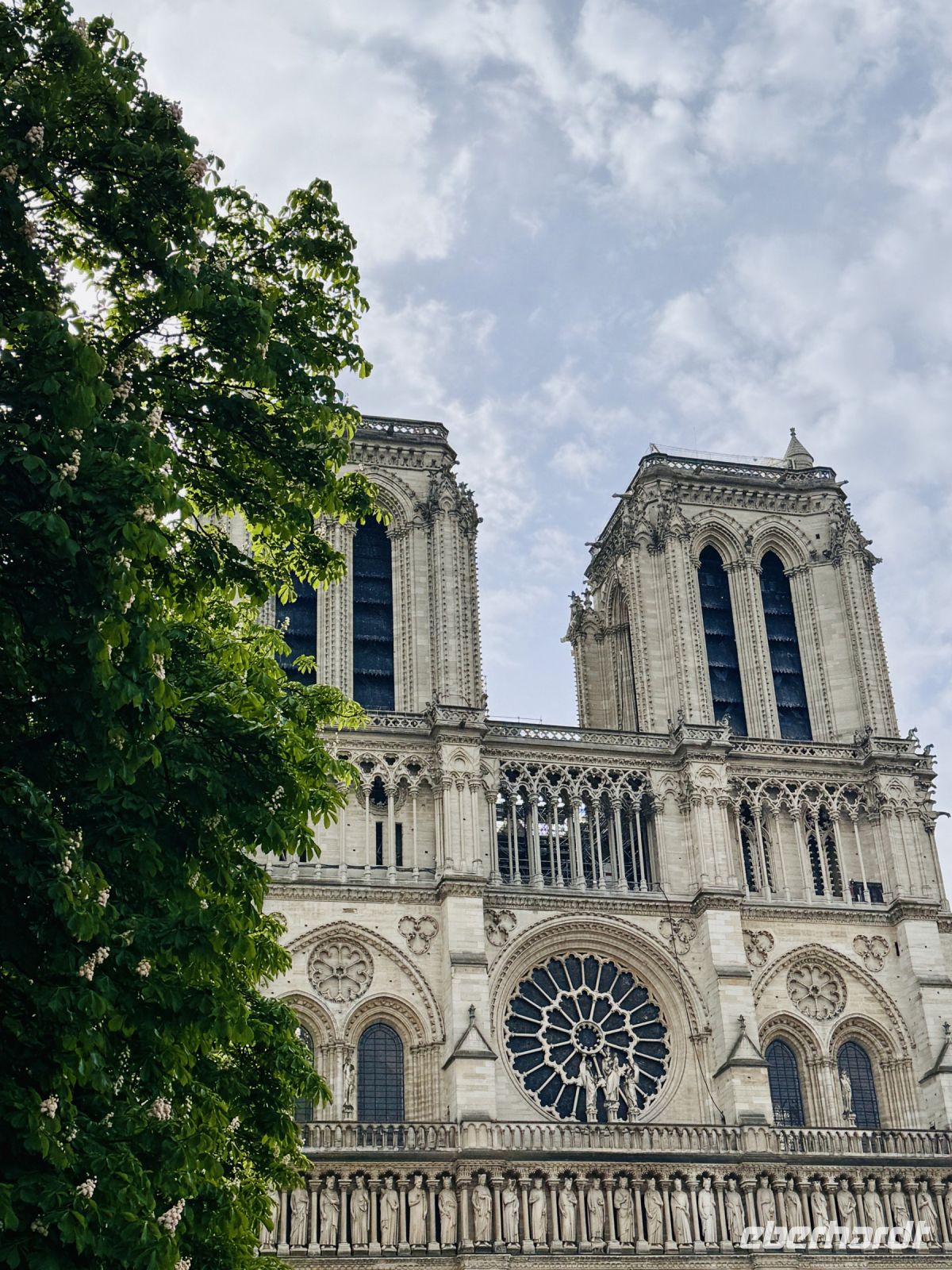 Cathédrale Notre-Dame de Paris 