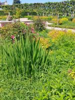 Villandry: Im Sonnengaraten