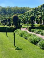 Villandry: Blick Richtung Kreutergarten
