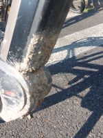 Loire per Rad 2024: So sehen unsere Räder aus!