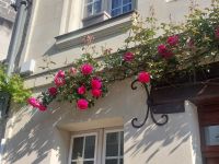 Fontevraud: Ortszentrum