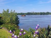 Hochwasser an der Loire