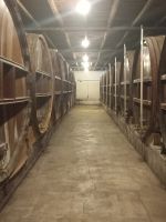 Calvados-Distillerie