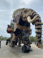 Rückkehr vom Ausflug!