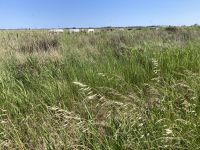 per Fahrrad unterwegs in der Camargue