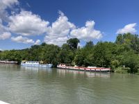 Avignon, wir kommen!