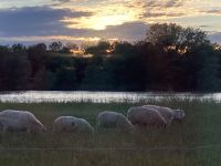 Saône - « Schleusenbewohner »